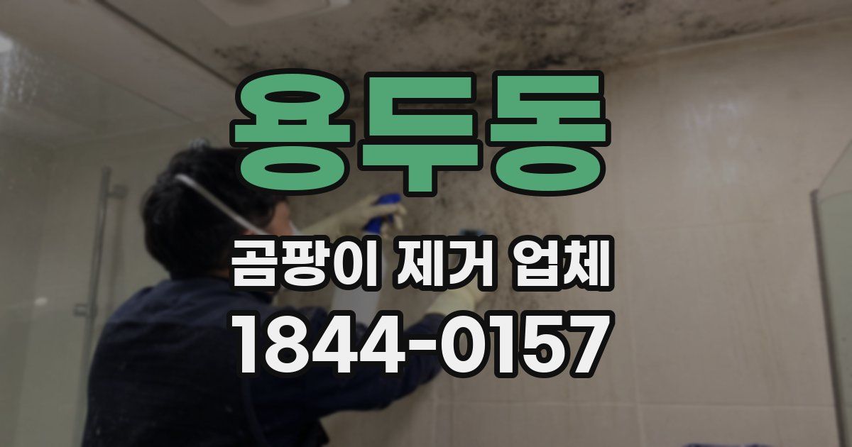 용두동 곰팡이 제거 업체