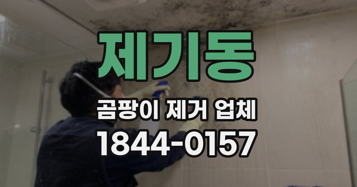 제기동 곰팡이 제거 업체