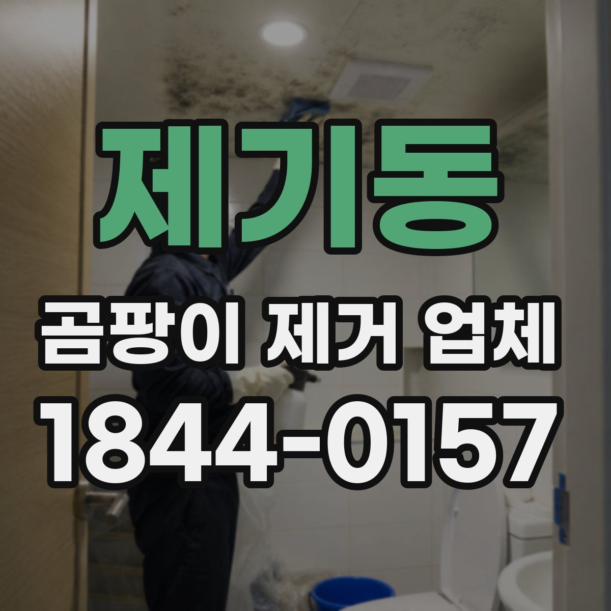 제기동 곰팡이 제거 업체