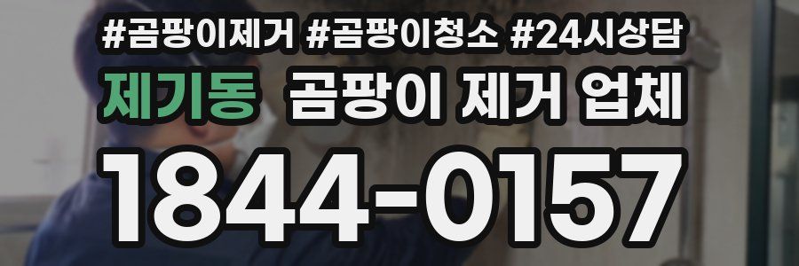 제기동 곰팡이 제거 업체