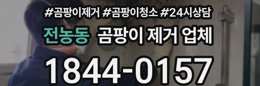 전농동 곰팡이 제거 업체
