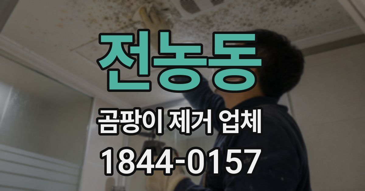 전농동 곰팡이 제거 업체