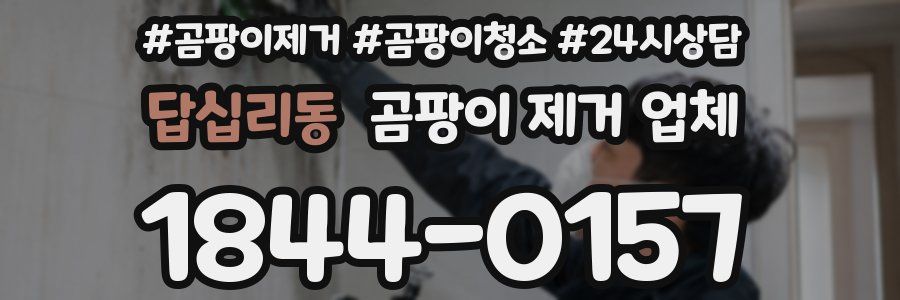 답십리동 곰팡이 제거 업체