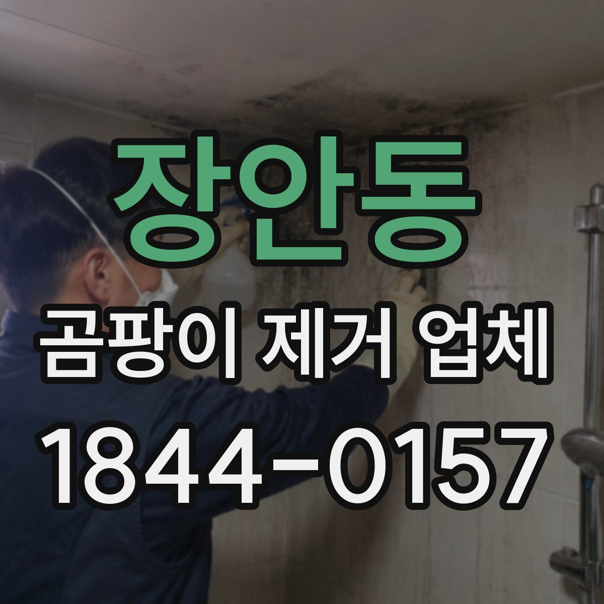 장안동 곰팡이 제거 업체
