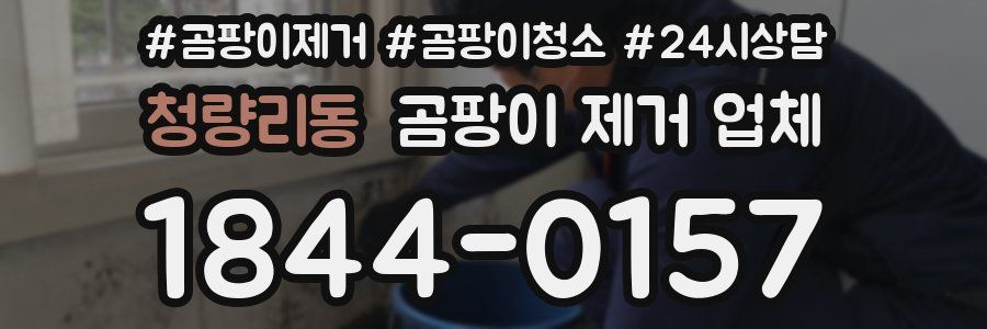 청량리동 곰팡이 제거 업체
