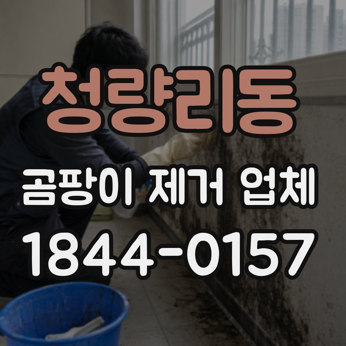 청량리동 곰팡이 제거 업체