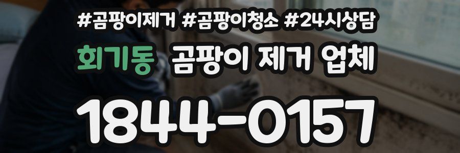 회기동 곰팡이 제거 업체