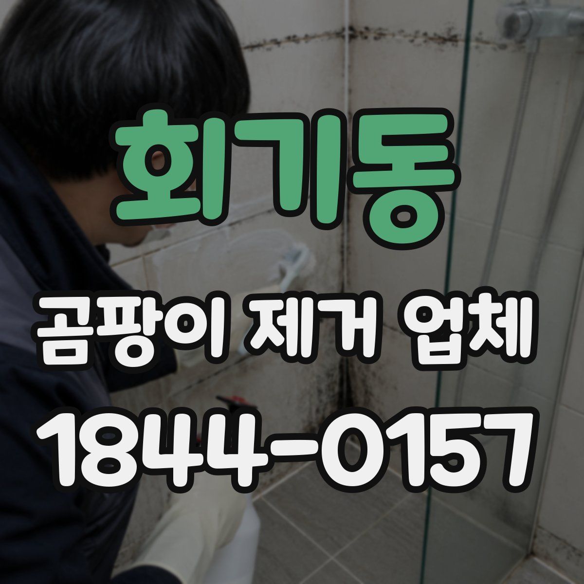 회기동 곰팡이 제거 업체