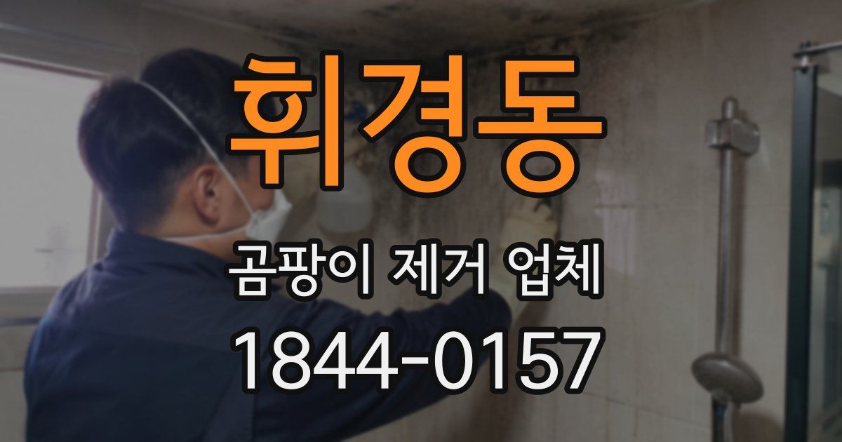 휘경동 곰팡이 제거 업체
