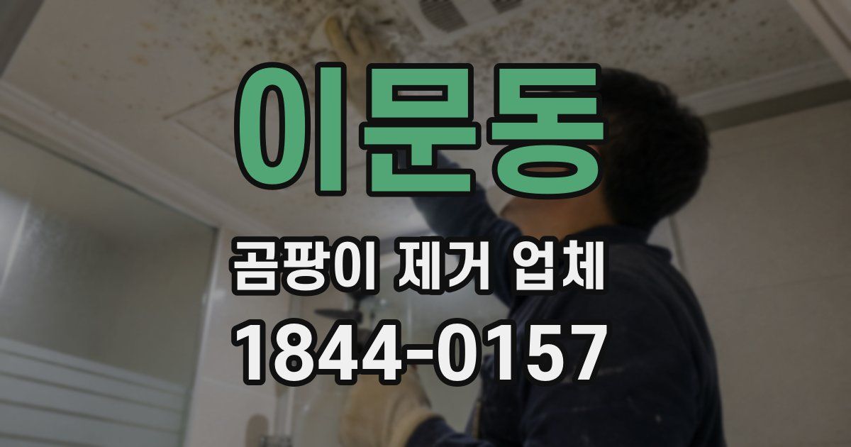 이문동 곰팡이 제거 업체