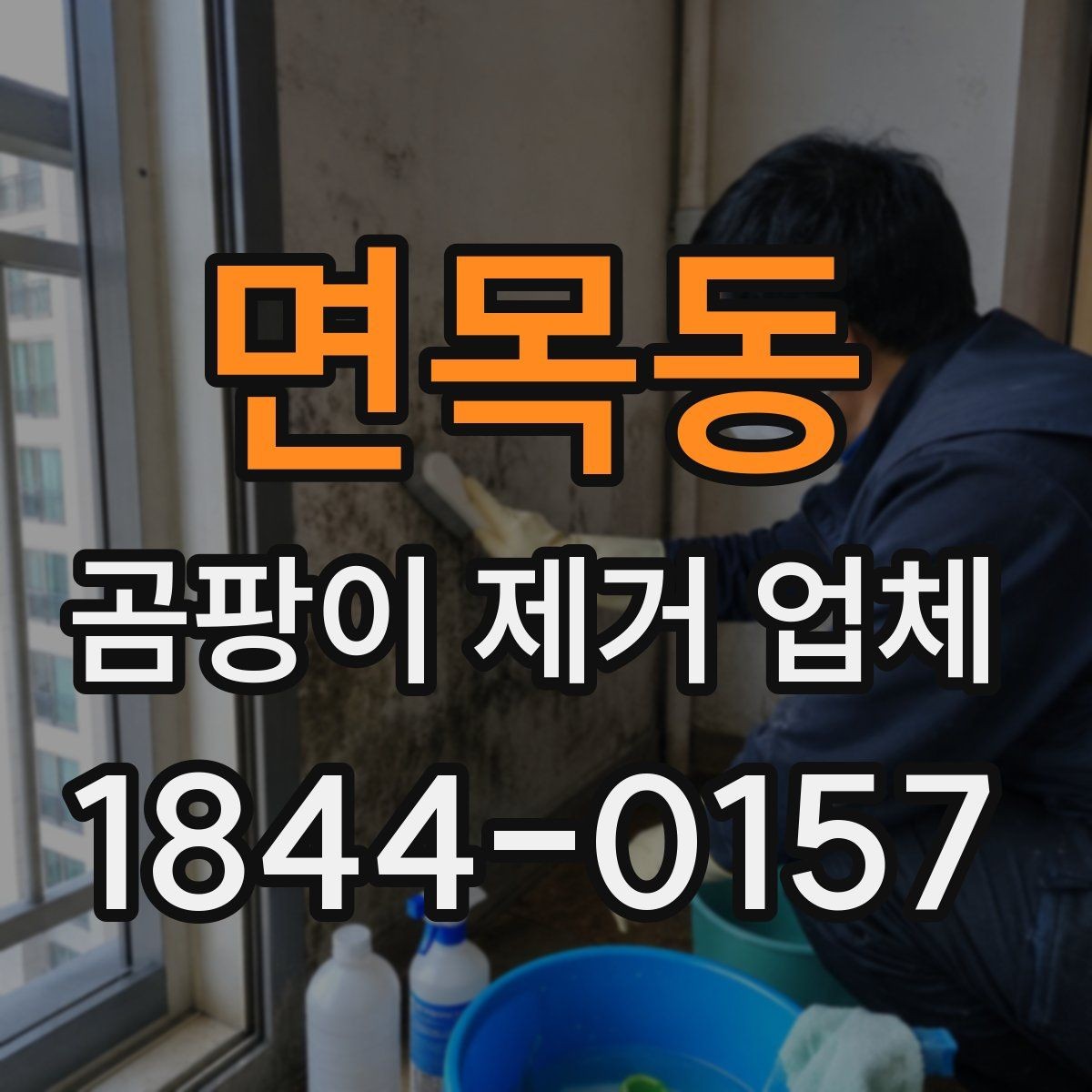 면목동 곰팡이 제거 업체 냄새 추적과 원인 파악을 함께 하는 방식