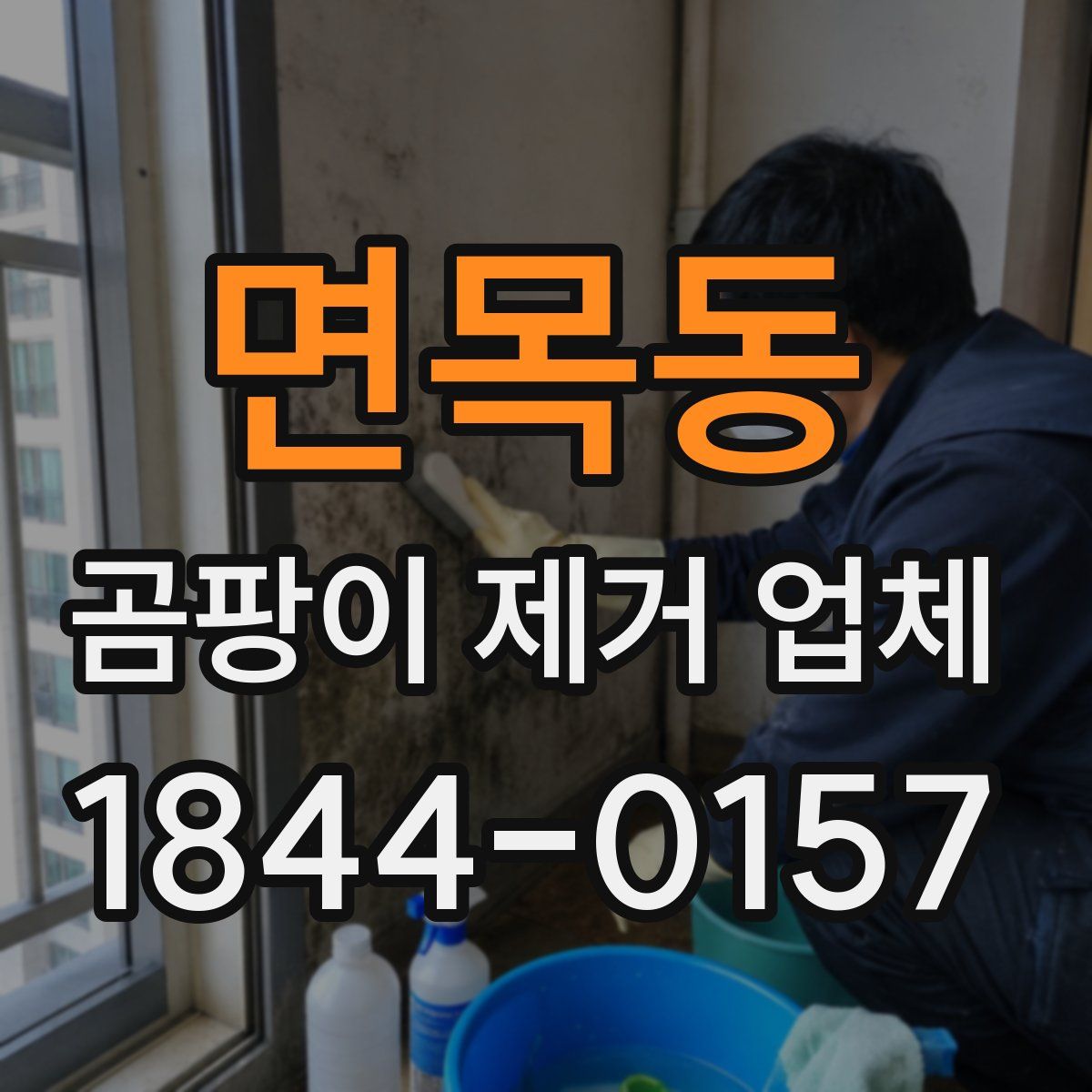 면목동 곰팡이 제거 업체