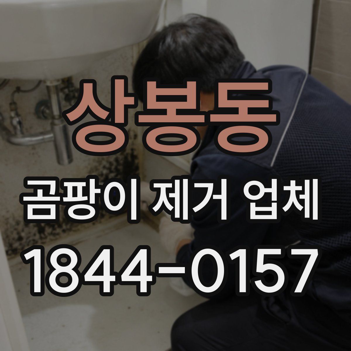 상봉동 곰팡이 제거 업체