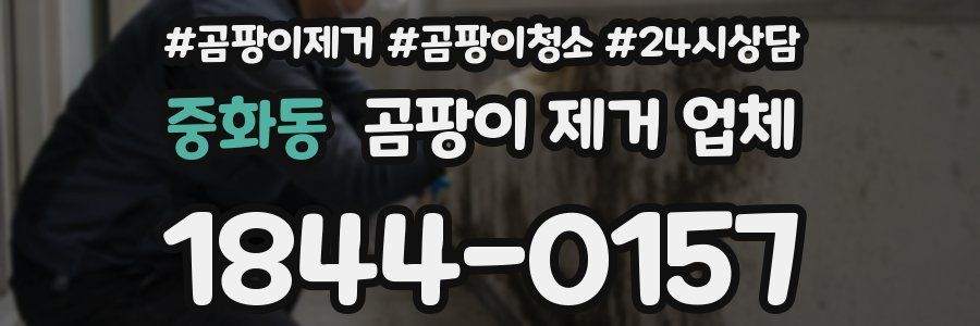 중화동 곰팡이 제거 업체