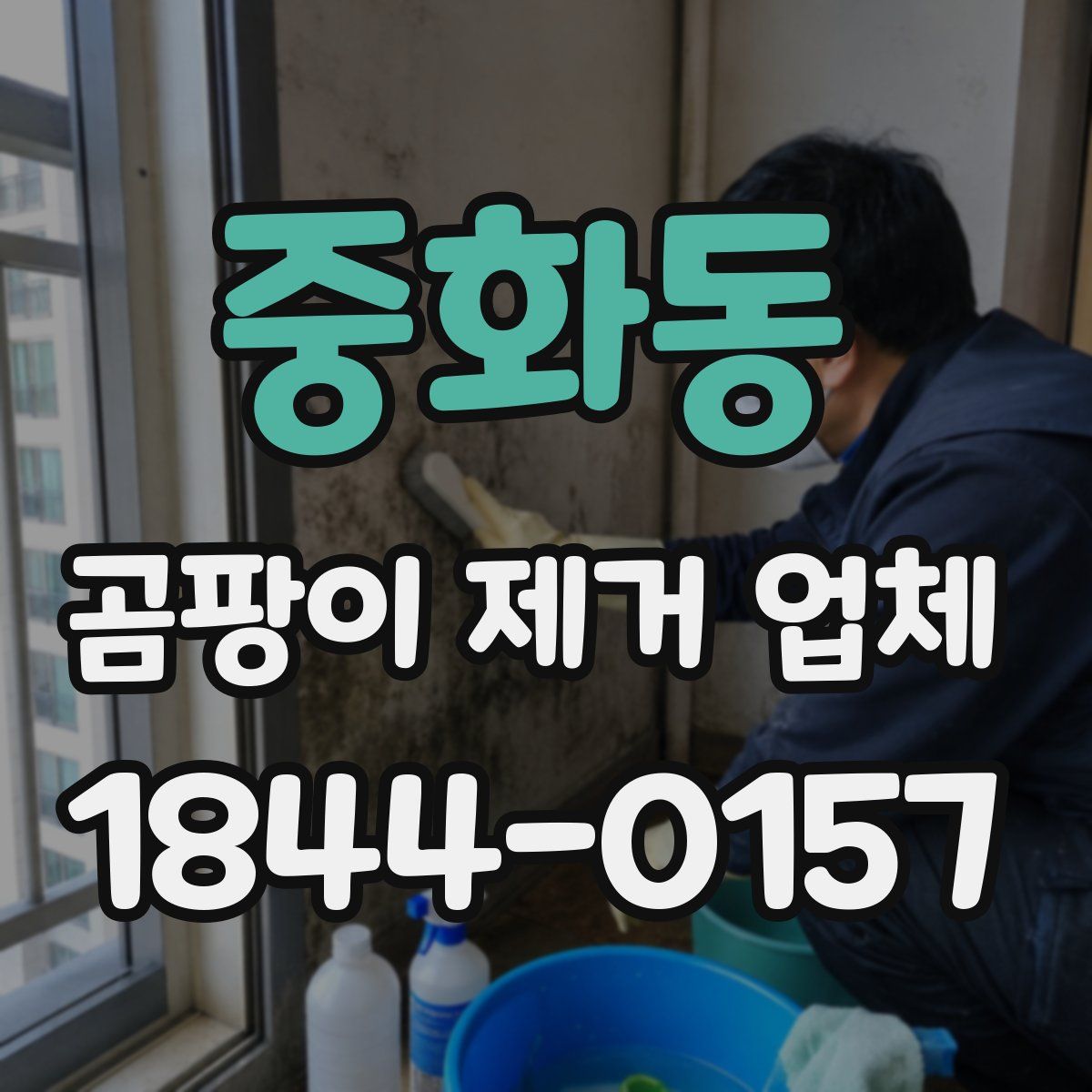 중화동 곰팡이 제거 업체