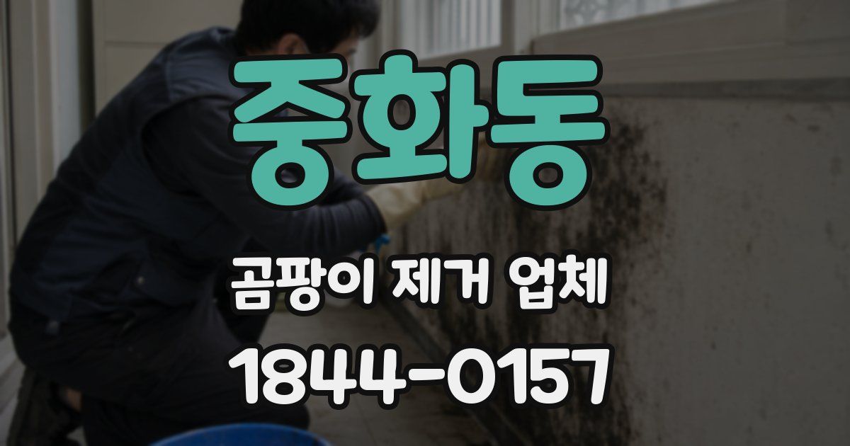 중화동 곰팡이 제거 업체