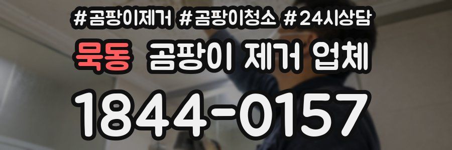 묵동 곰팡이 제거 업체