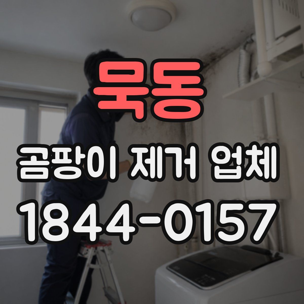 묵동 곰팡이 제거 업체