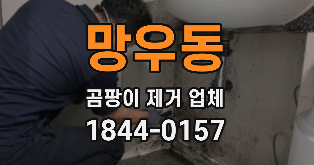 망우동 곰팡이 제거 업체