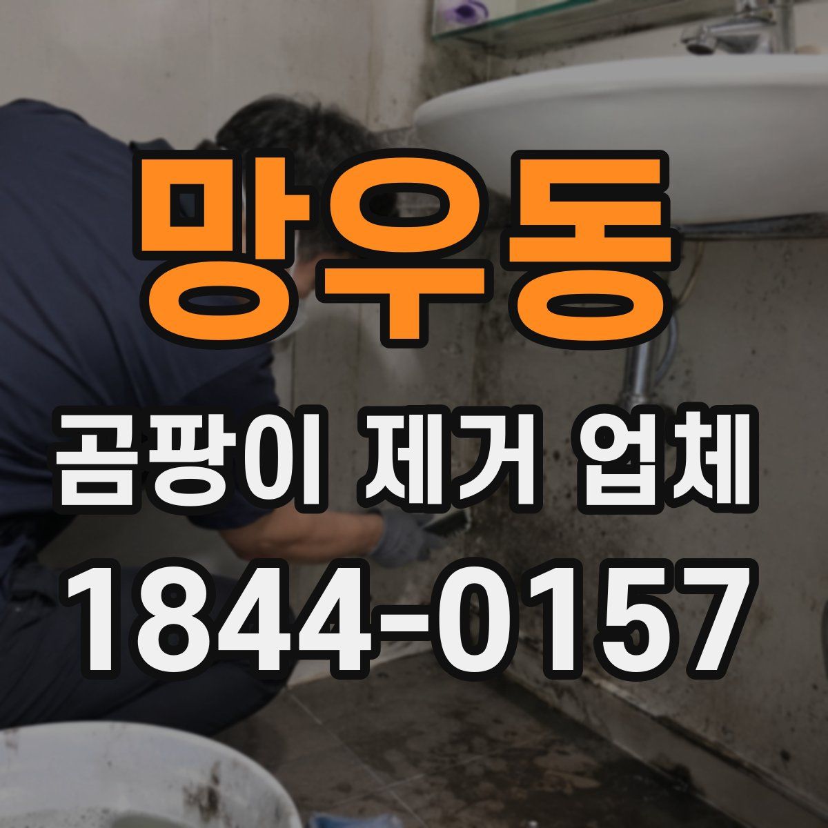 망우동 곰팡이 제거 업체