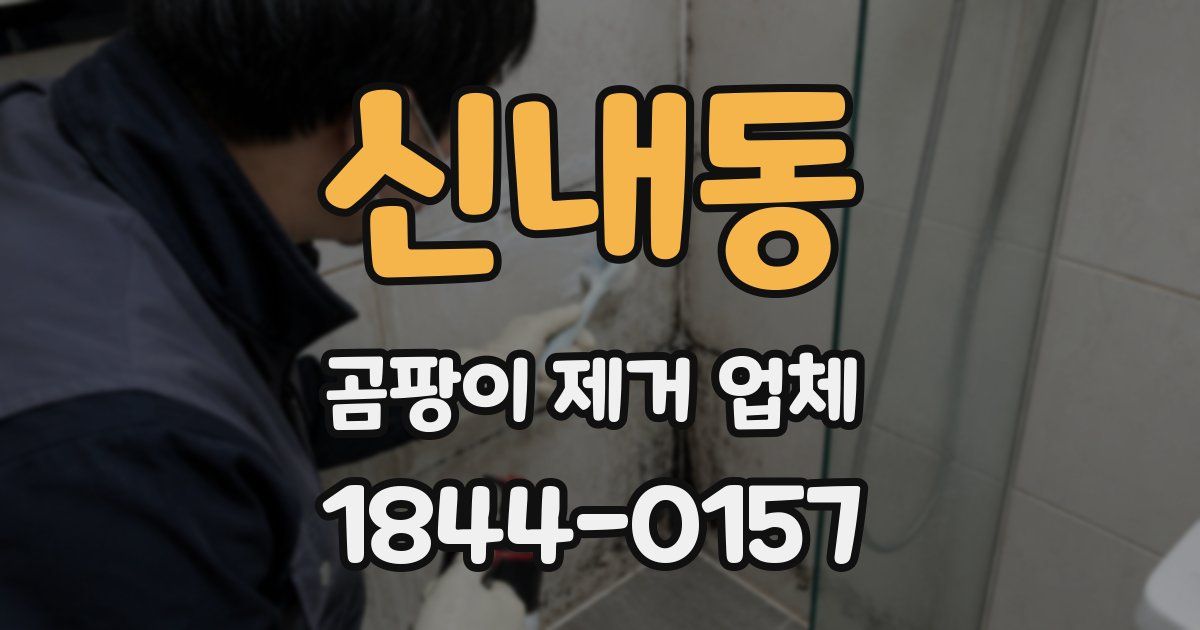 신내동 곰팡이 제거 업체