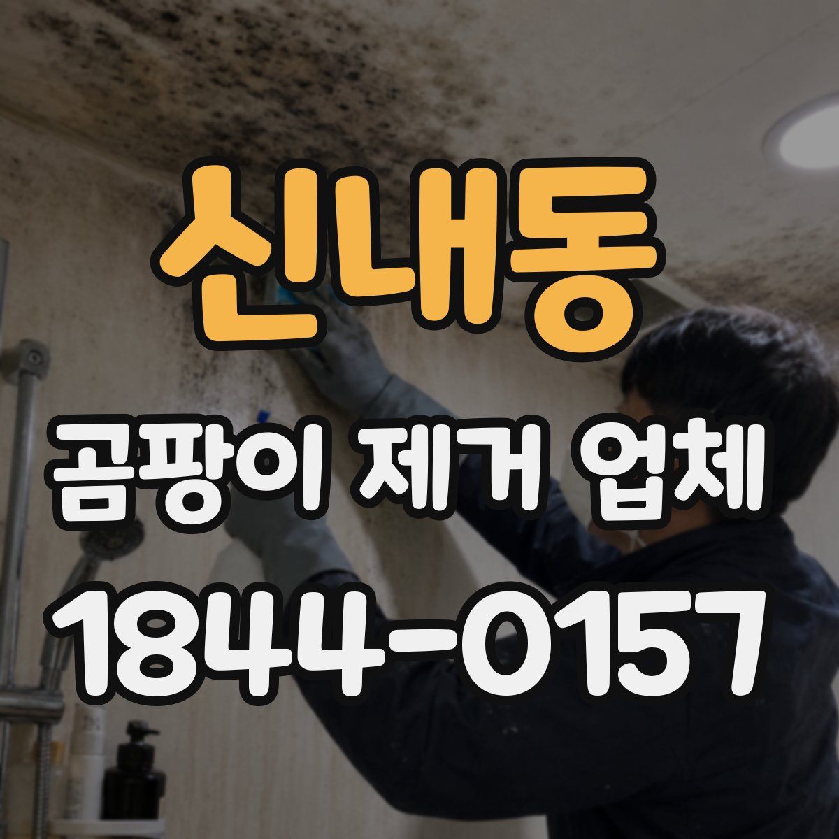 신내동 곰팡이 제거 업체