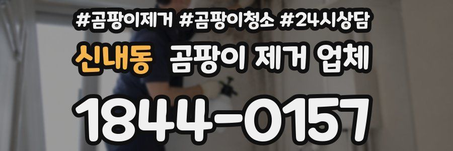 신내동 곰팡이 제거 업체