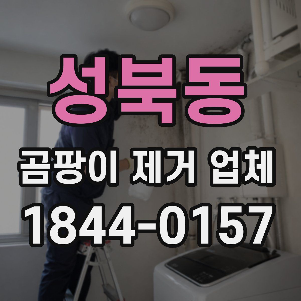 성북동 곰팡이 제거 업체