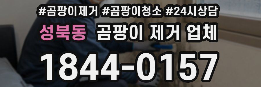 성북동 곰팡이 제거 업체