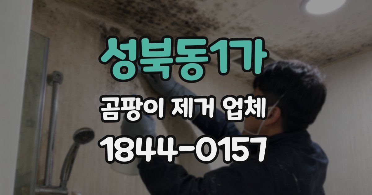 성북동1가 곰팡이 제거 업체