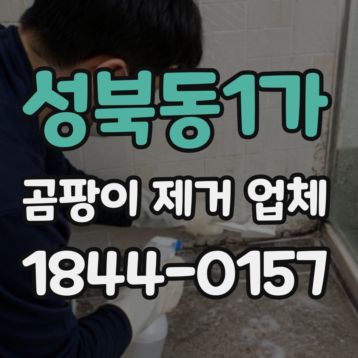 성북동1가 곰팡이 제거 업체