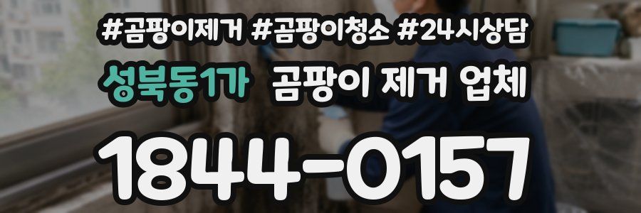 성북동1가 곰팡이 제거 업체