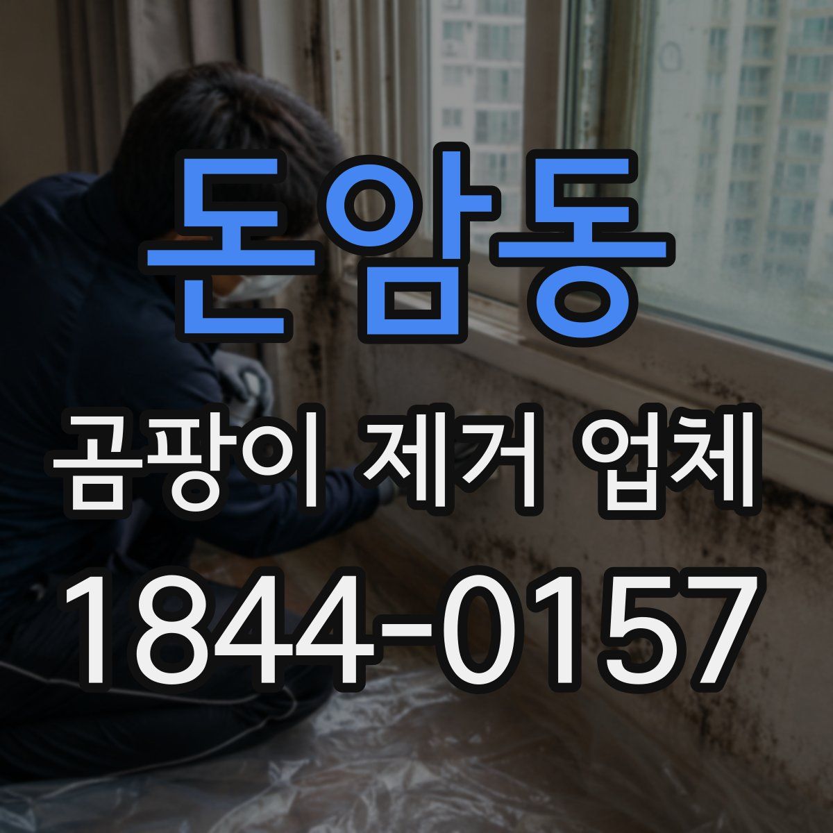 돈암동 곰팡이 제거 업체