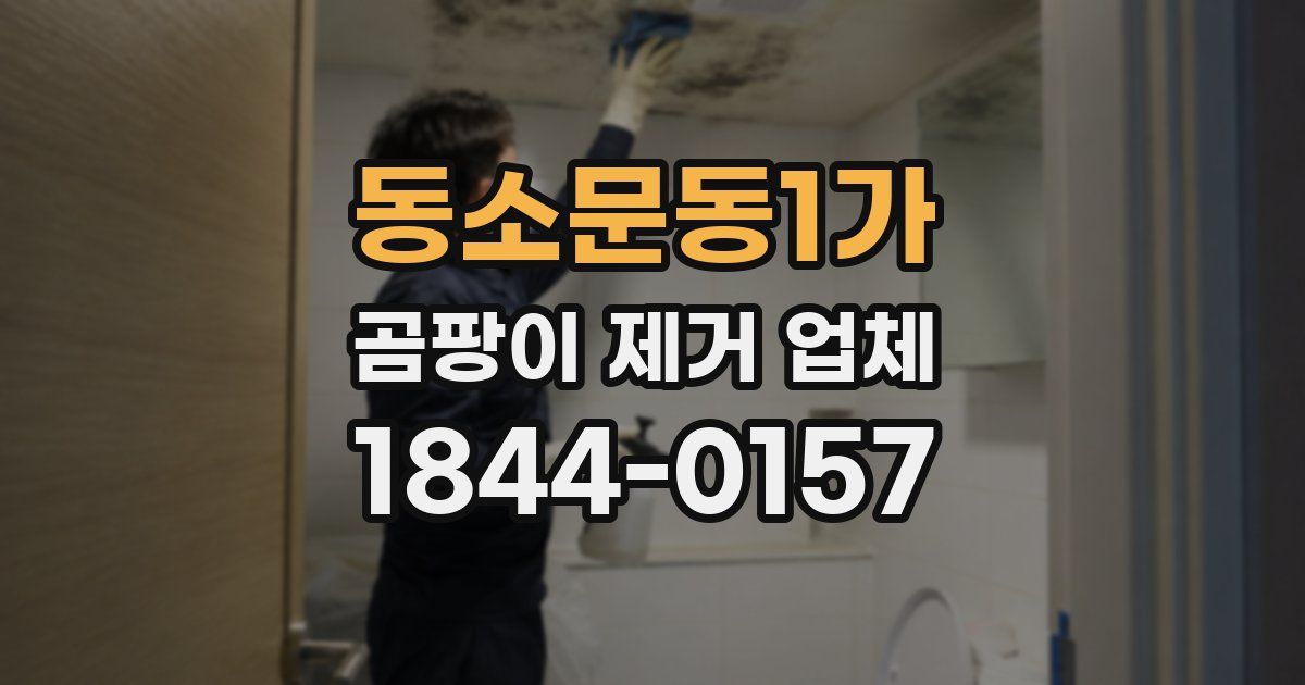 동소문동1가 곰팡이 제거 업체