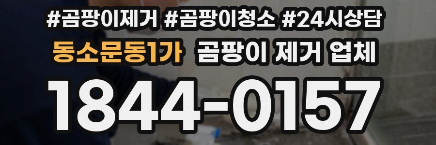 동소문동1가 곰팡이 제거 업체