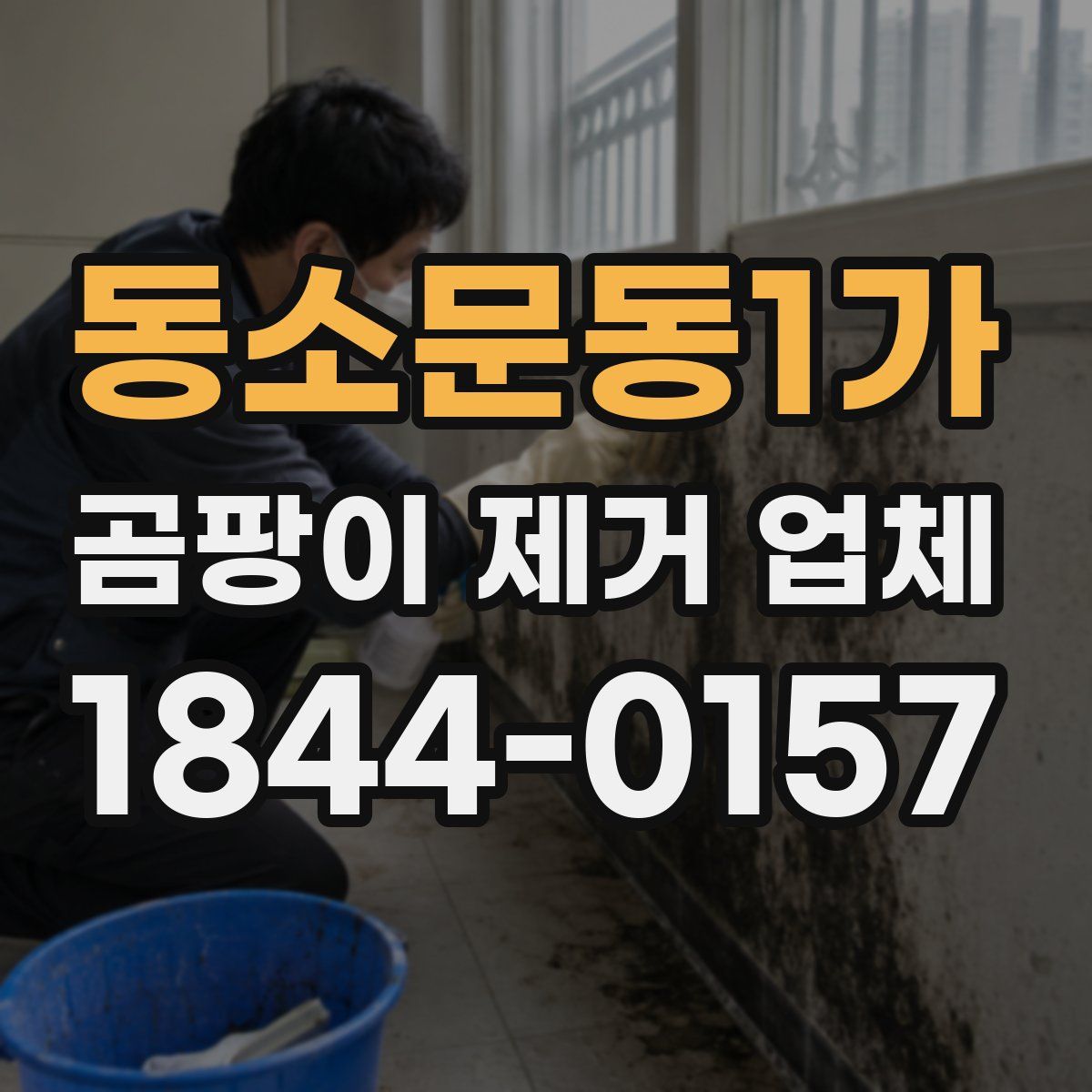 동소문동1가 곰팡이 제거 업체