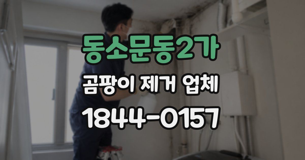 동소문동2가 곰팡이 제거 업체