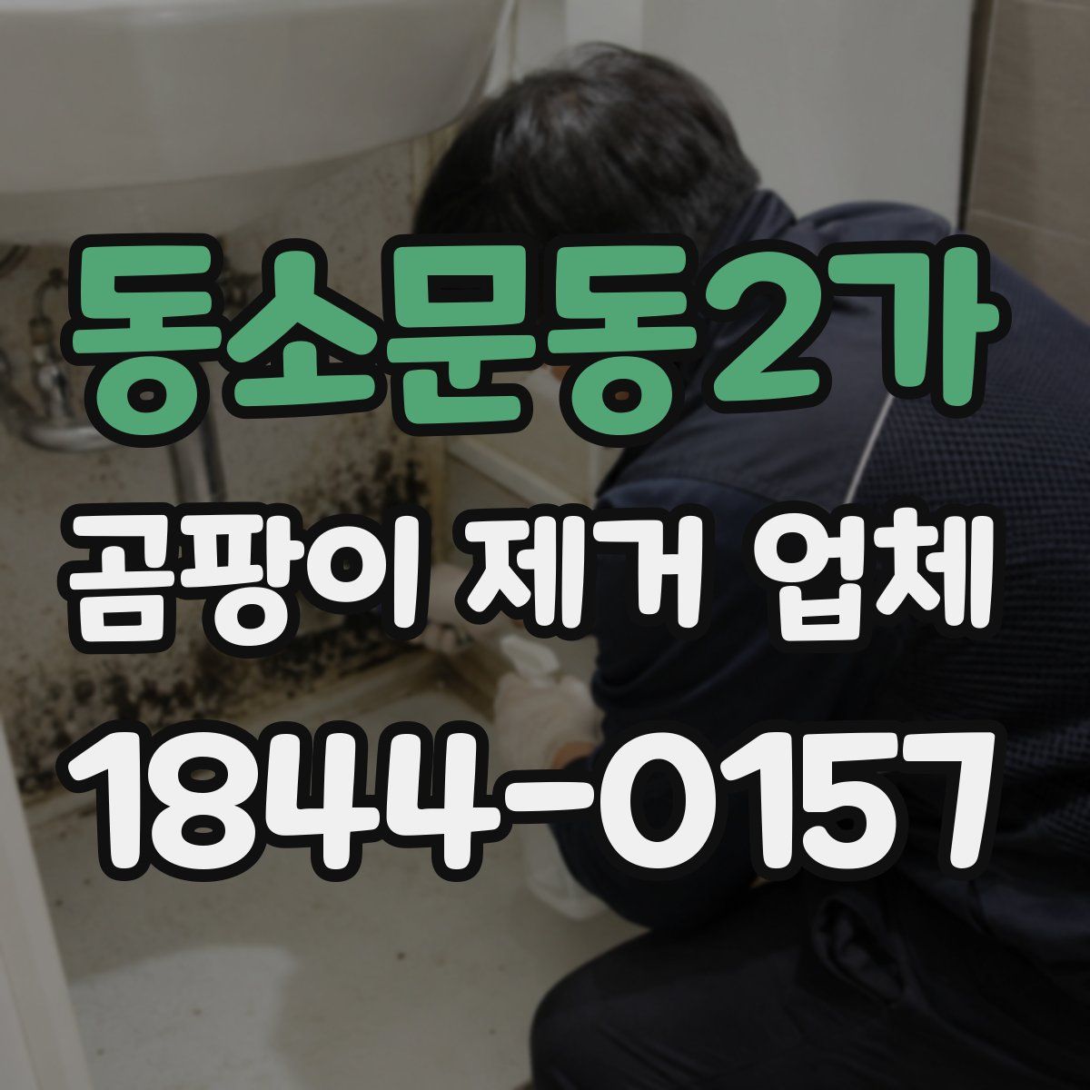 동소문동2가 곰팡이 제거 업체