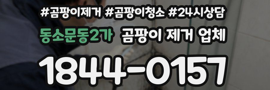 동소문동2가 곰팡이 제거 업체