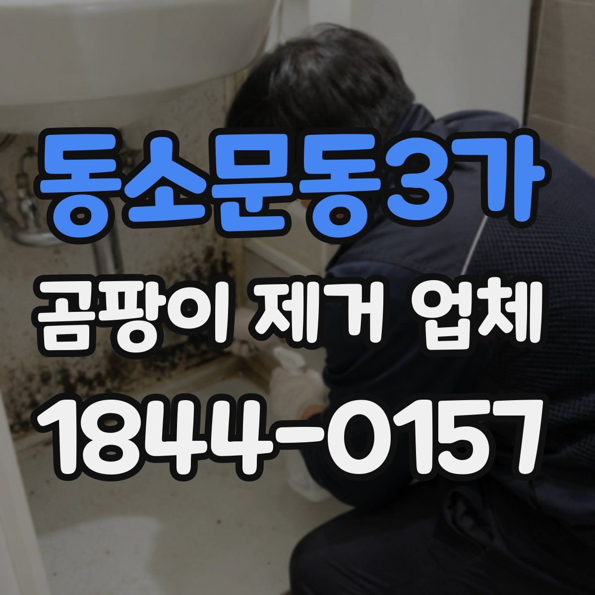 동소문동3가 곰팡이 제거 업체