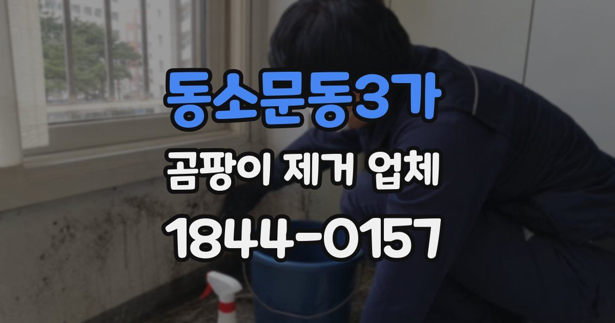 동소문동3가 곰팡이 제거 업체