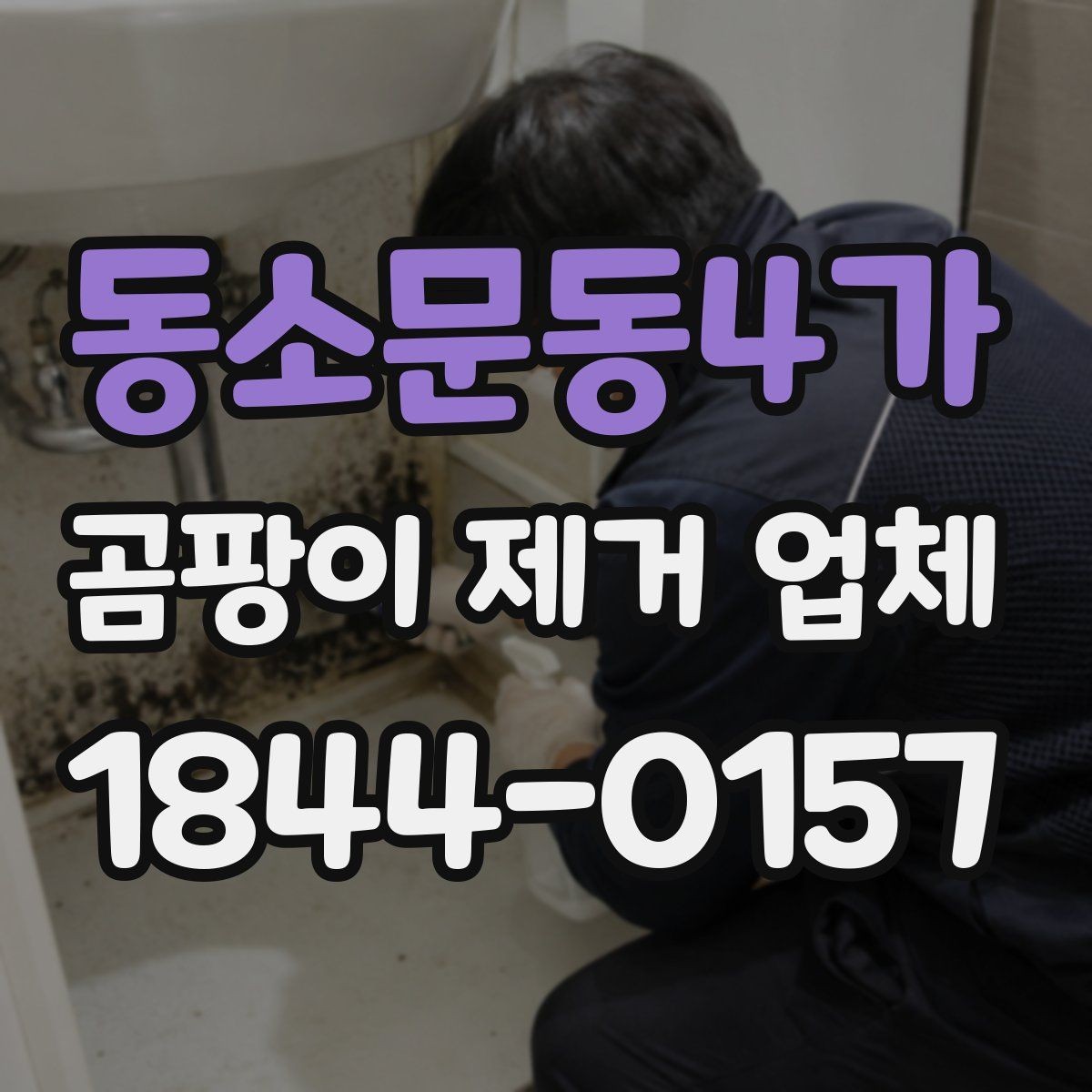 동소문동4가 곰팡이 제거 업체 곰팡이가 계속 생기는 집의 공통 원인