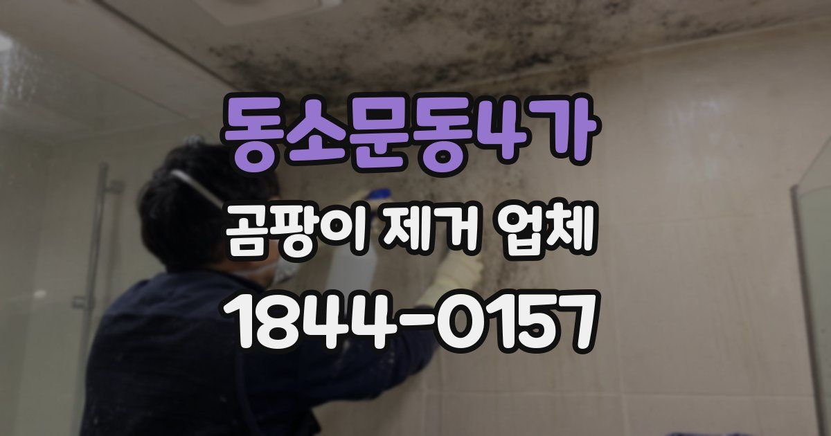동소문동4가 곰팡이 제거 업체