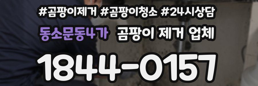 동소문동4가 곰팡이 제거 업체