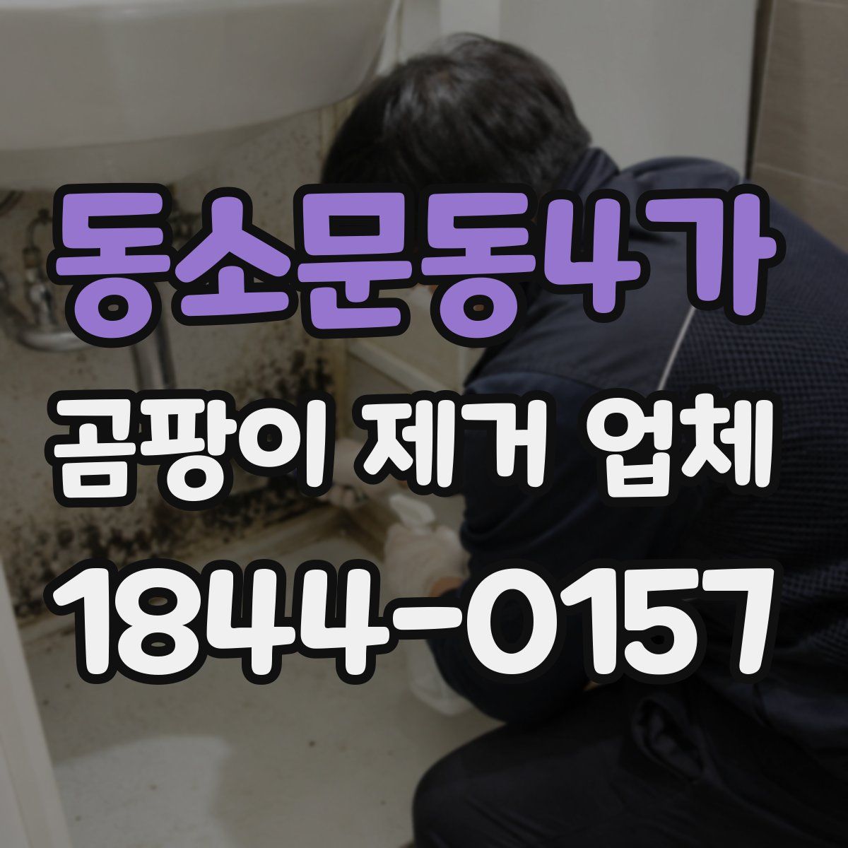 동소문동4가 곰팡이 제거 업체