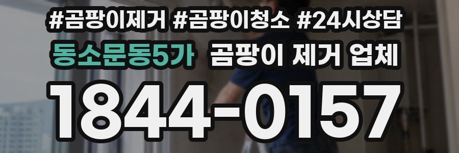 동소문동5가 곰팡이 제거 업체