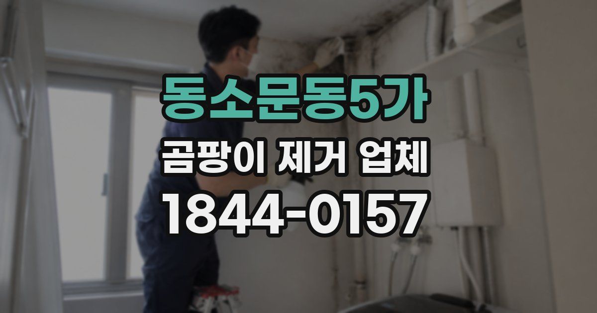 동소문동5가 곰팡이 제거 업체