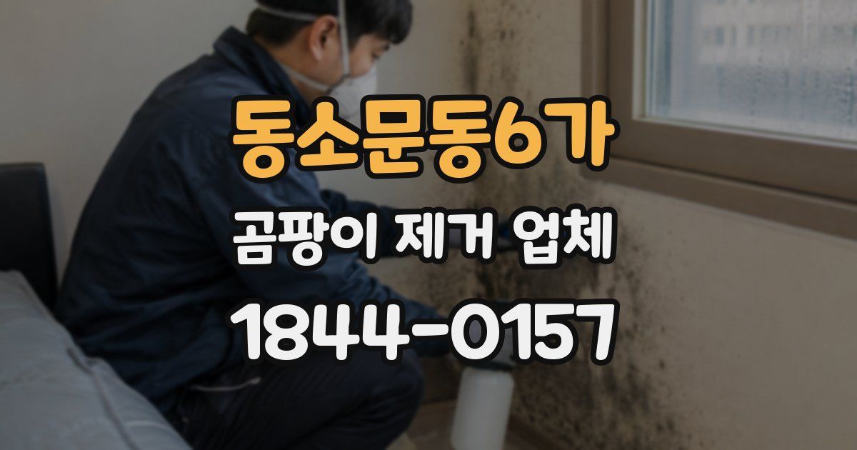 동소문동6가 곰팡이 제거 업체
