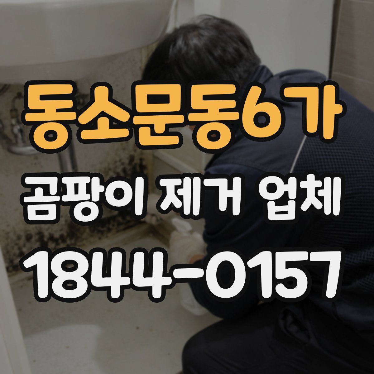 동소문동6가 곰팡이 제거 업체