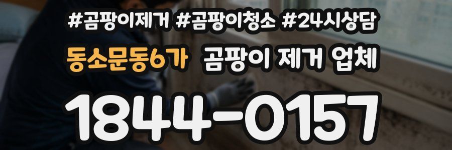 동소문동6가 곰팡이 제거 업체